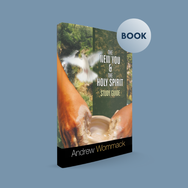 The Insider S1RR - The New You and the Holy Spirit - Book
