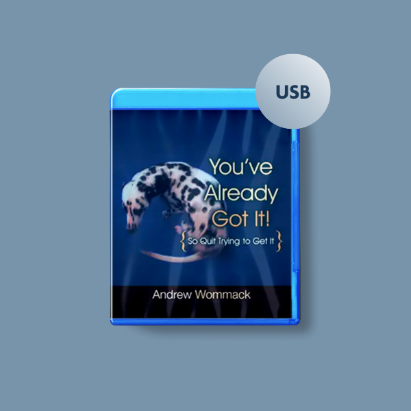 Andrew's Classics S8 - You've Already Got It - USB