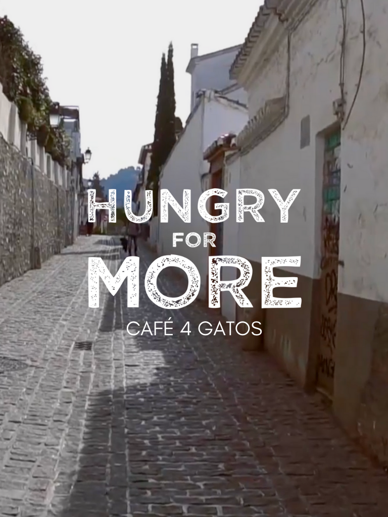 Hungry For More Cafe 4 Gatos