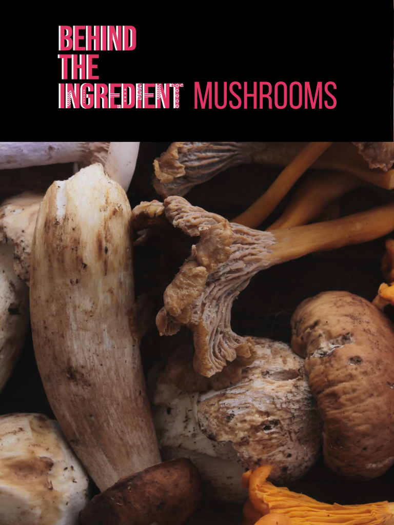 Behind the Ingredient: Mushrooms Part 1