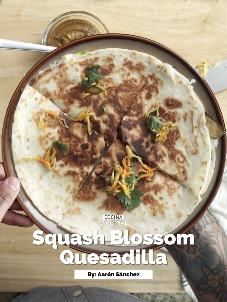 Aarón’s Squash Blossom Quesadilla