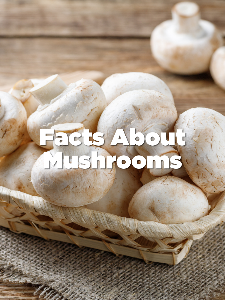 Facts about Mushrooms